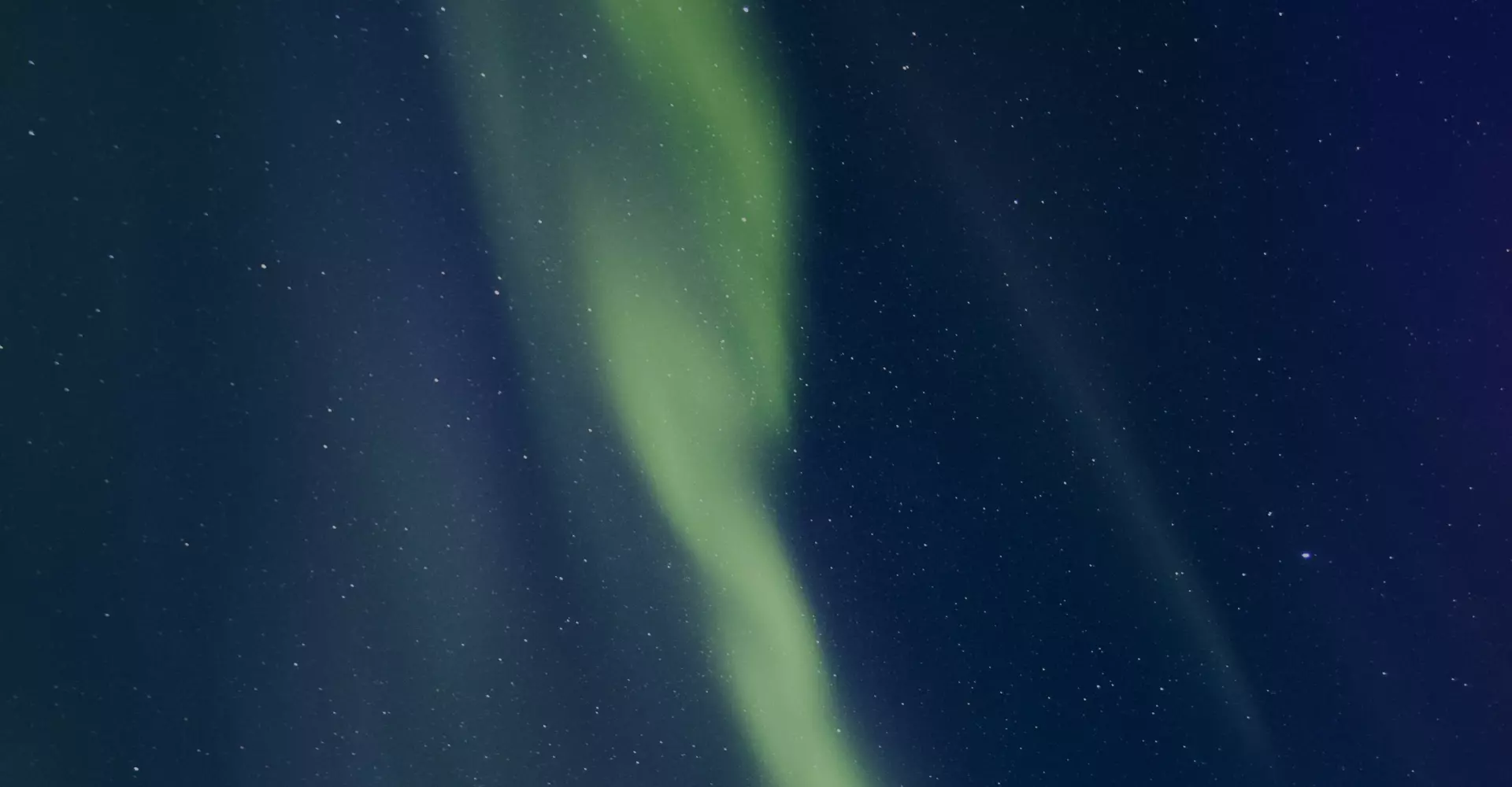 Diplomado en Psicoterapia Asistida con Psicodélicos