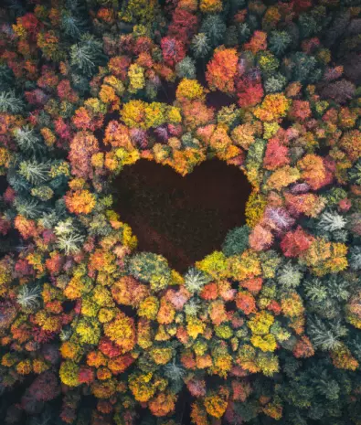 Psintesis_Somos_imgpequeña